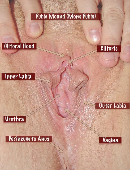 Thread image