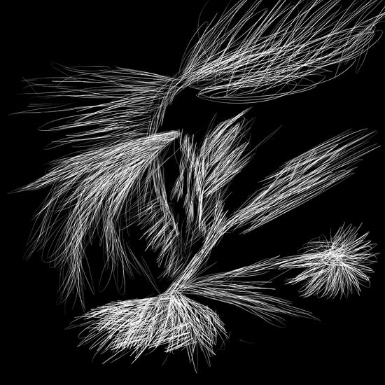 Thread image