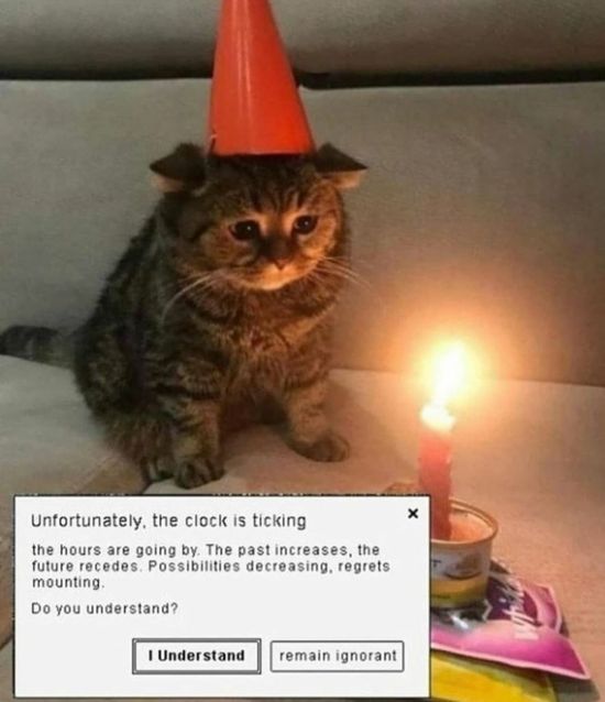 Thread image