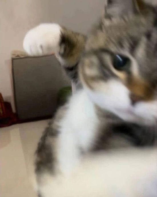 Thread image