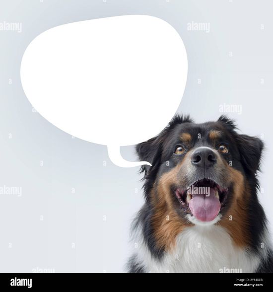Thread image