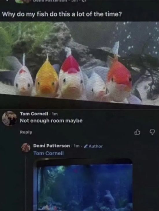 Thread image