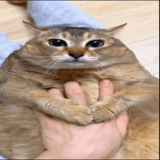 Thread image