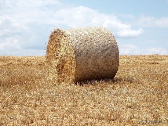 Thread image