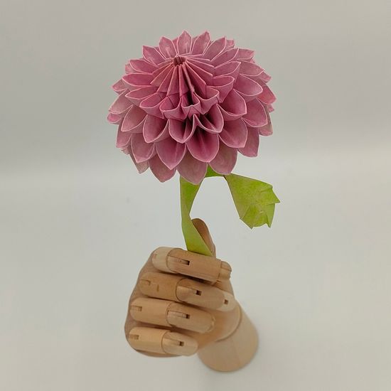 Thread image