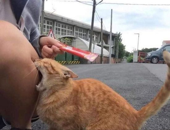 Thread image