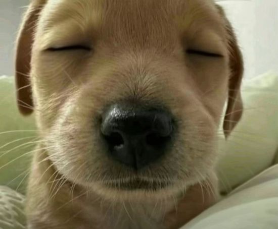 Thread image