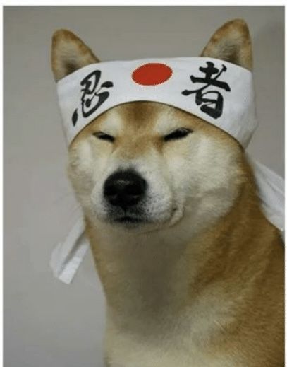 Thread image
