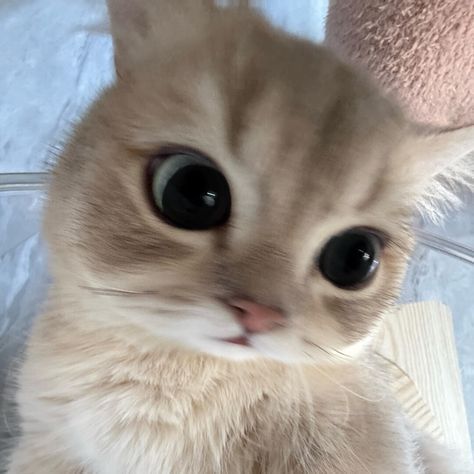 Thread image