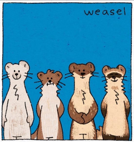 Thread image