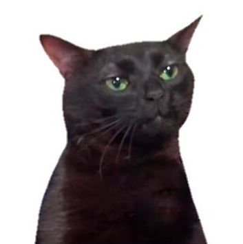 Thread image