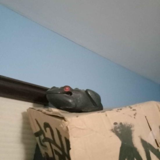 Thread image
