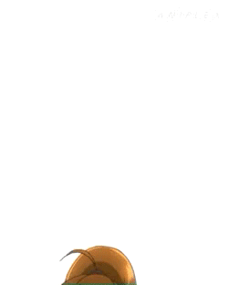 Reply image .gif