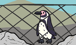 Reply image .gif