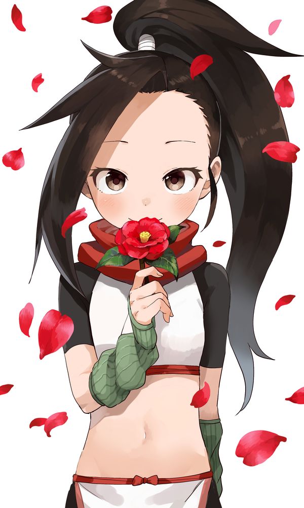 op image