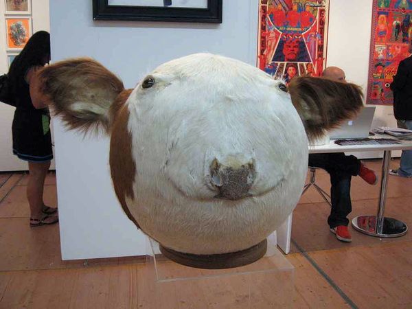 Reply image .jpg