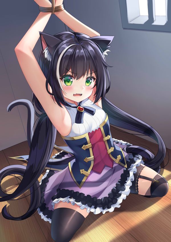 Reply image .jpg