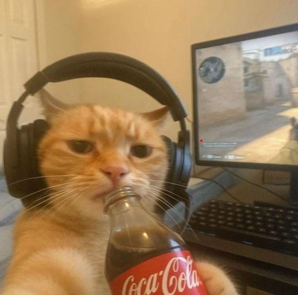 Reply image .jpg