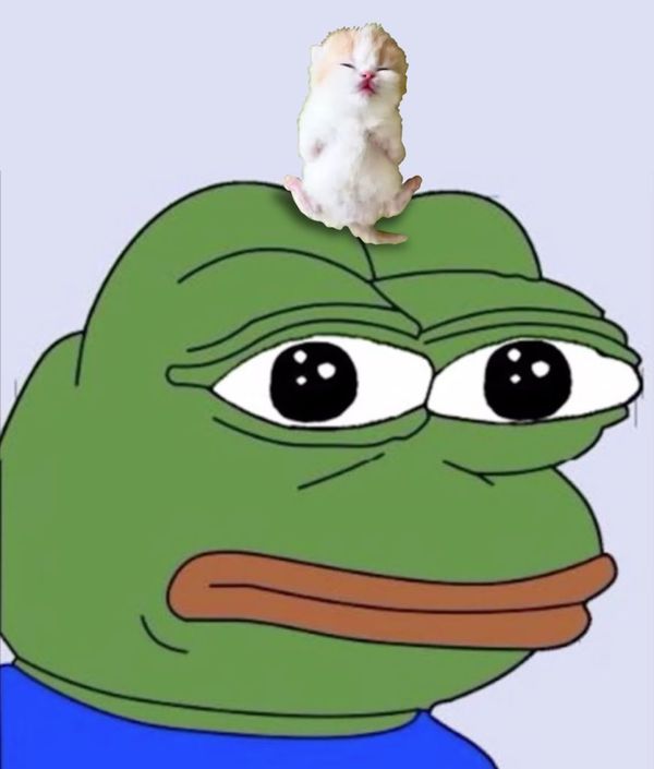 Reply image .jpg