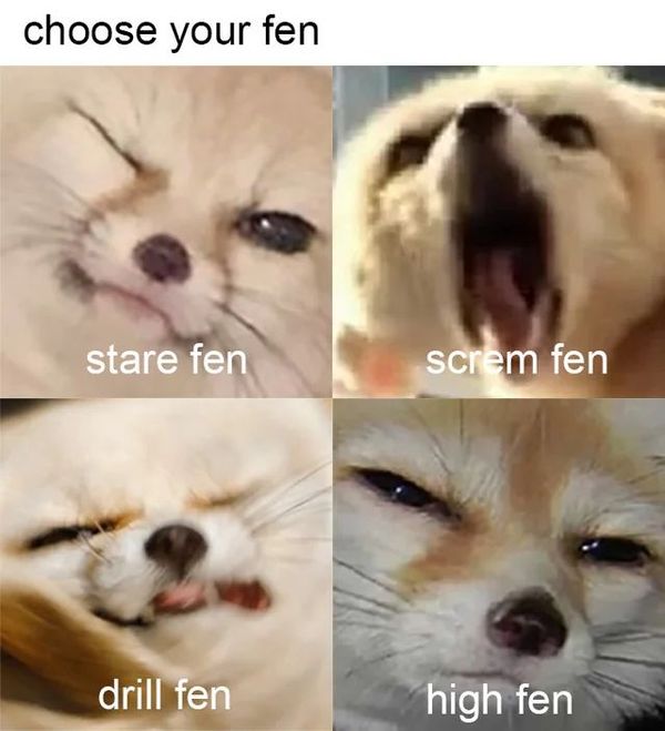 Reply image .jpg