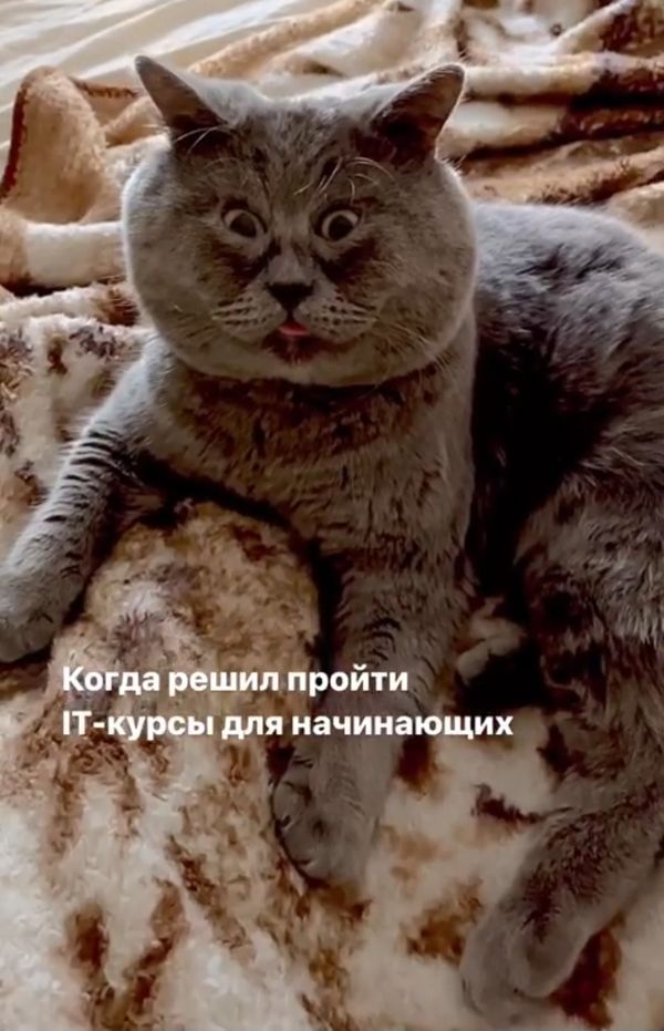 Reply image .jpg