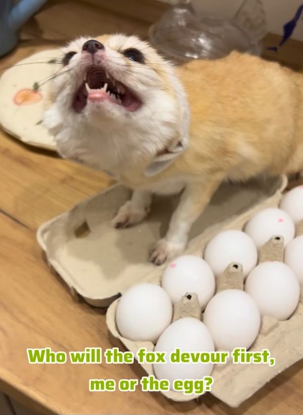 Reply image .jpg