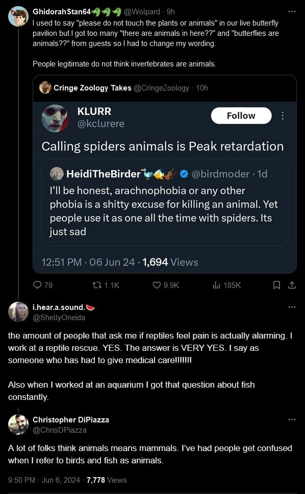 Reply image .jpg