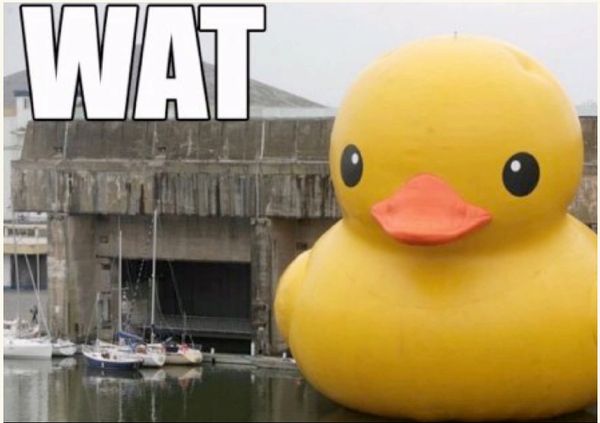 Reply image .png