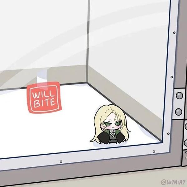Reply image .jpg