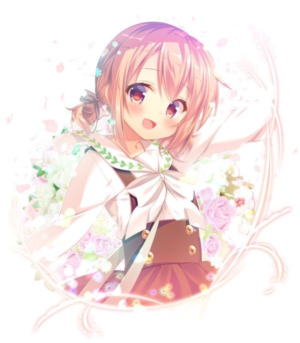 Reply image .jpg