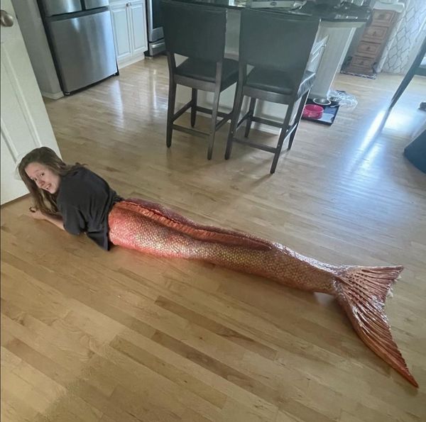 Reply image .jpg