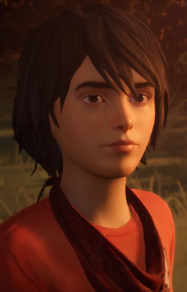 Reply image .jpg