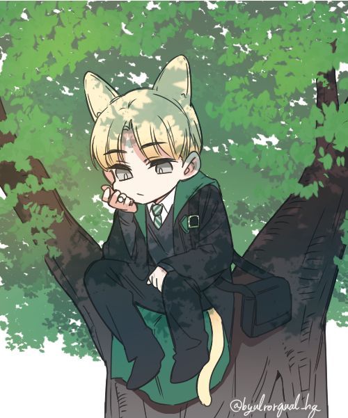Reply image .jpg