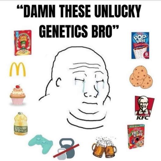 Reply image .jpg