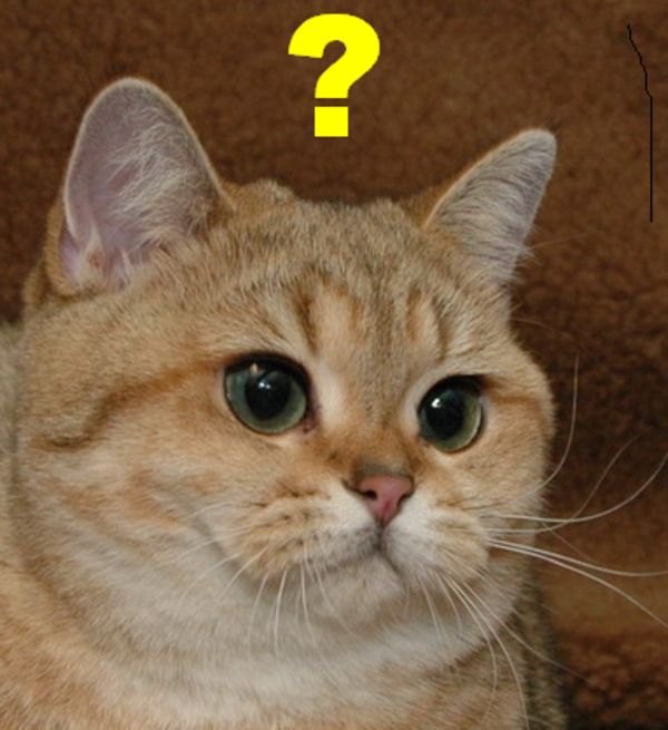Reply image .png