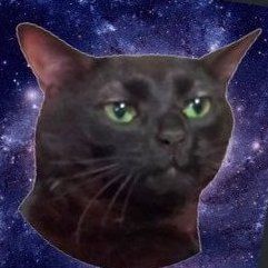 Reply image .jpg