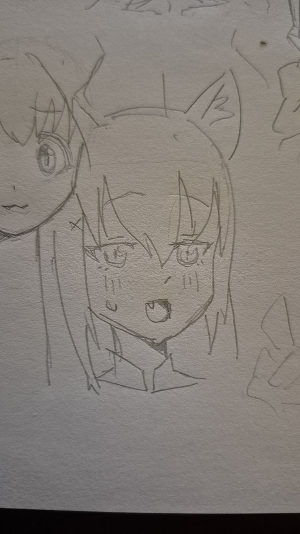 Reply image .jpg