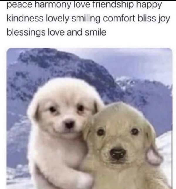 Reply image .jpg