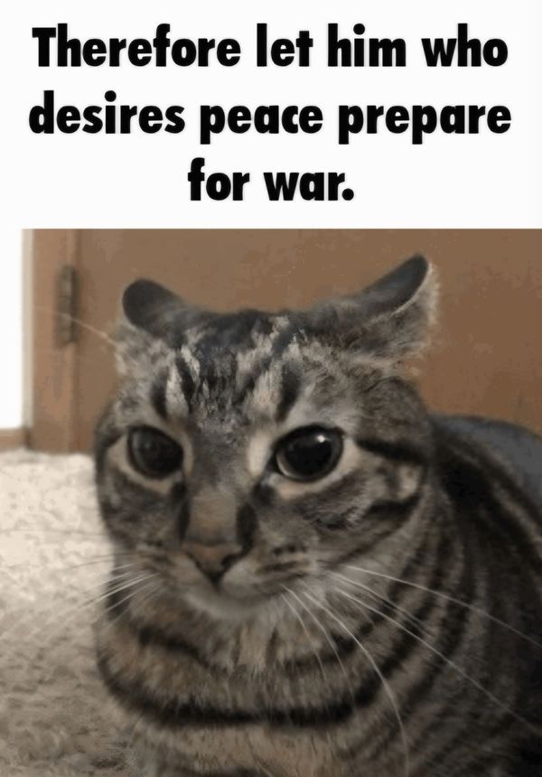 Reply image .jpg