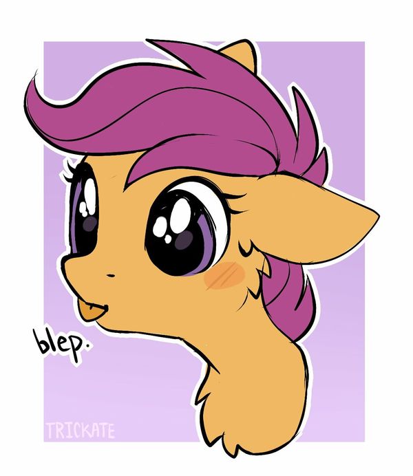 Reply image .jpg