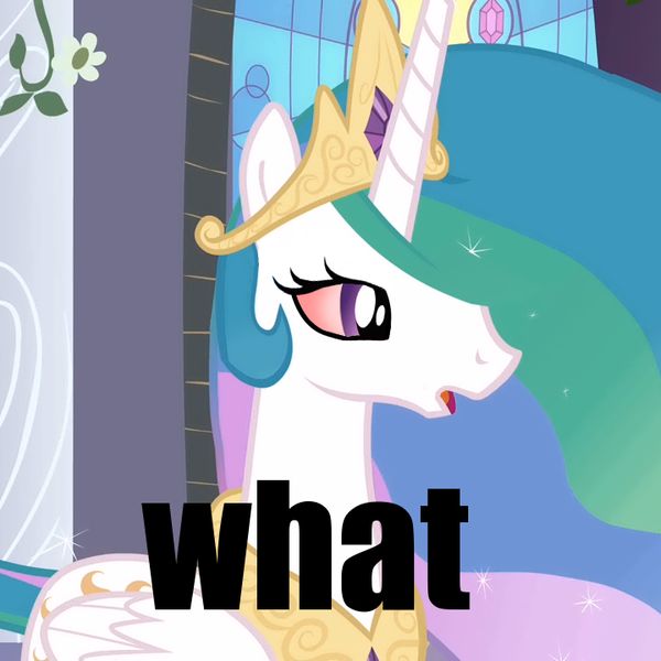 Reply image .png