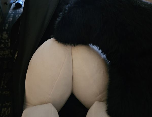 Reply image .jpg