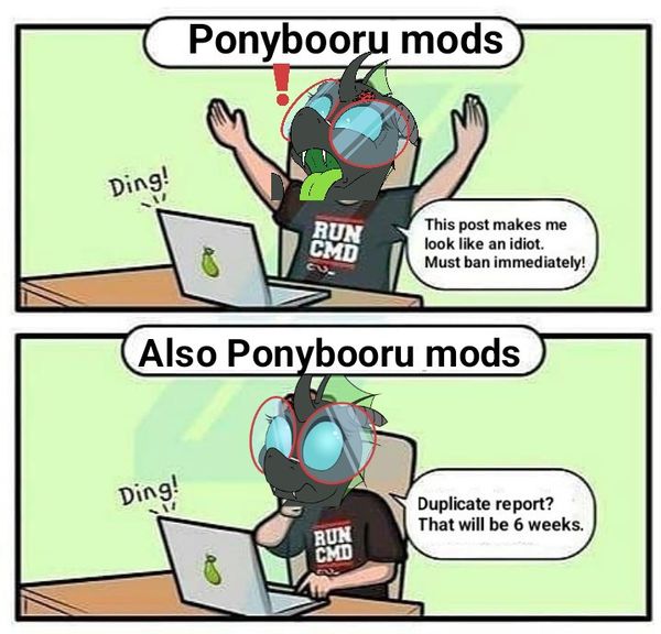 Reply image .jpg