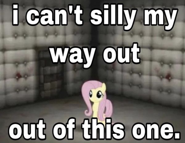 Reply image .jpg