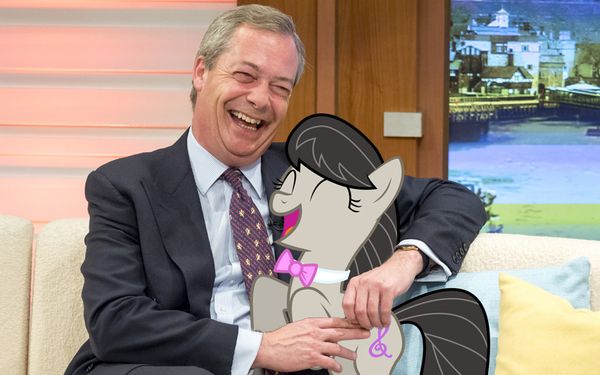 Reply image .jpg