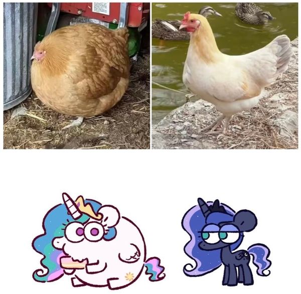 Reply image .jpg