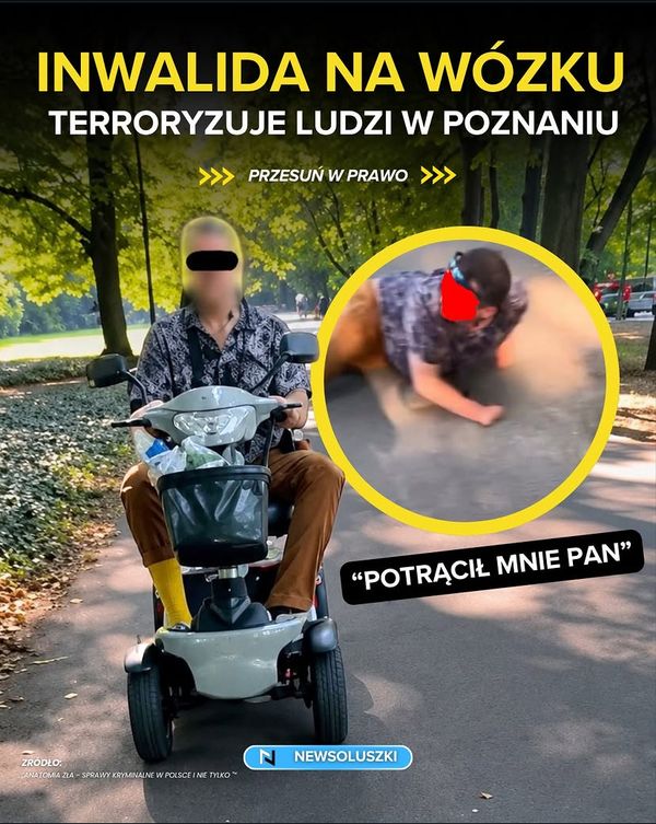 op image