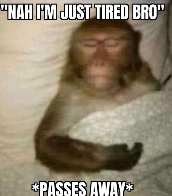 op image