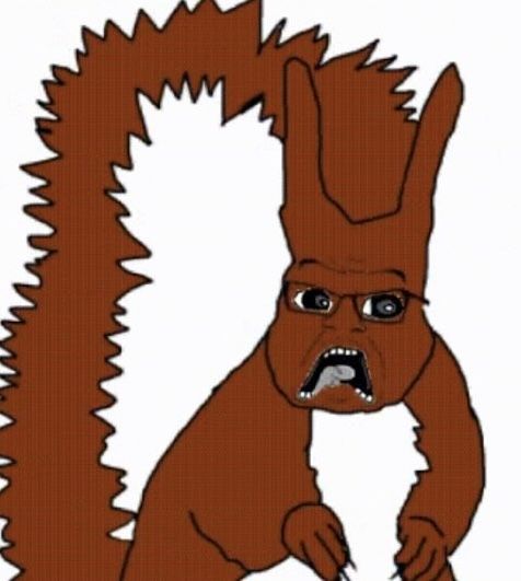 Reply image .jpg