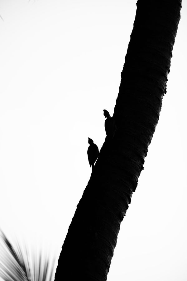 Reply image .jpg